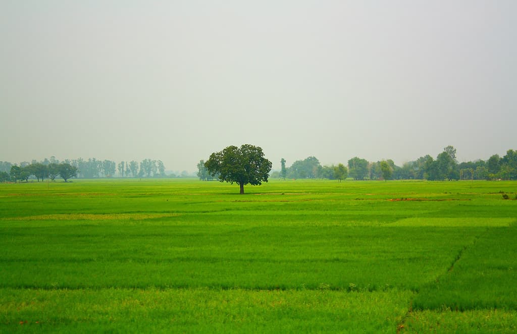 5 Things to Check Before Buying a Plot in Patna